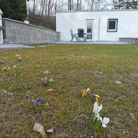 Ferienhaus Am Wald Wendehausen Екстериор снимка